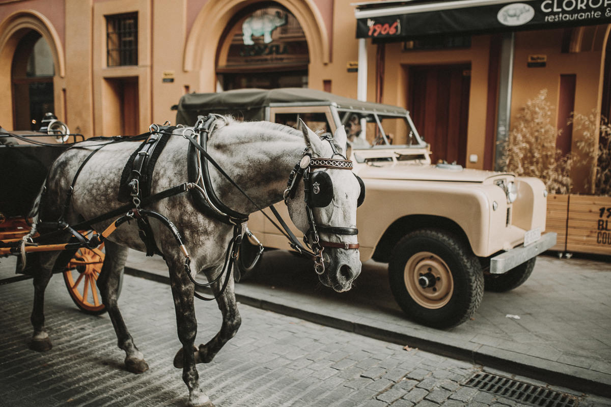 wedding-ernestovillalba-Albert-Leslie-Seville-2756-ASE.jpg