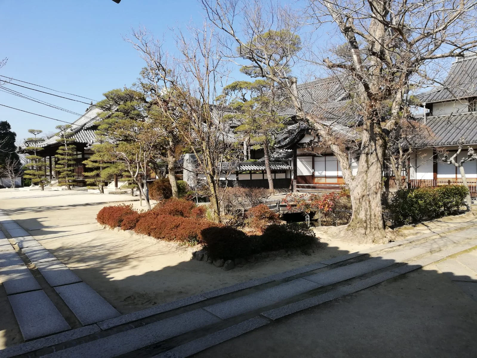 Day Three: A Ceramic Pilgrimage