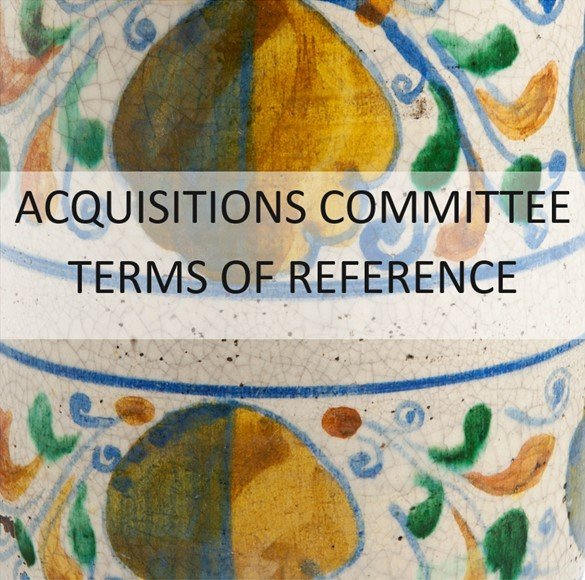 Thumbnail - Acquisitions Committee terms of reference.jpg