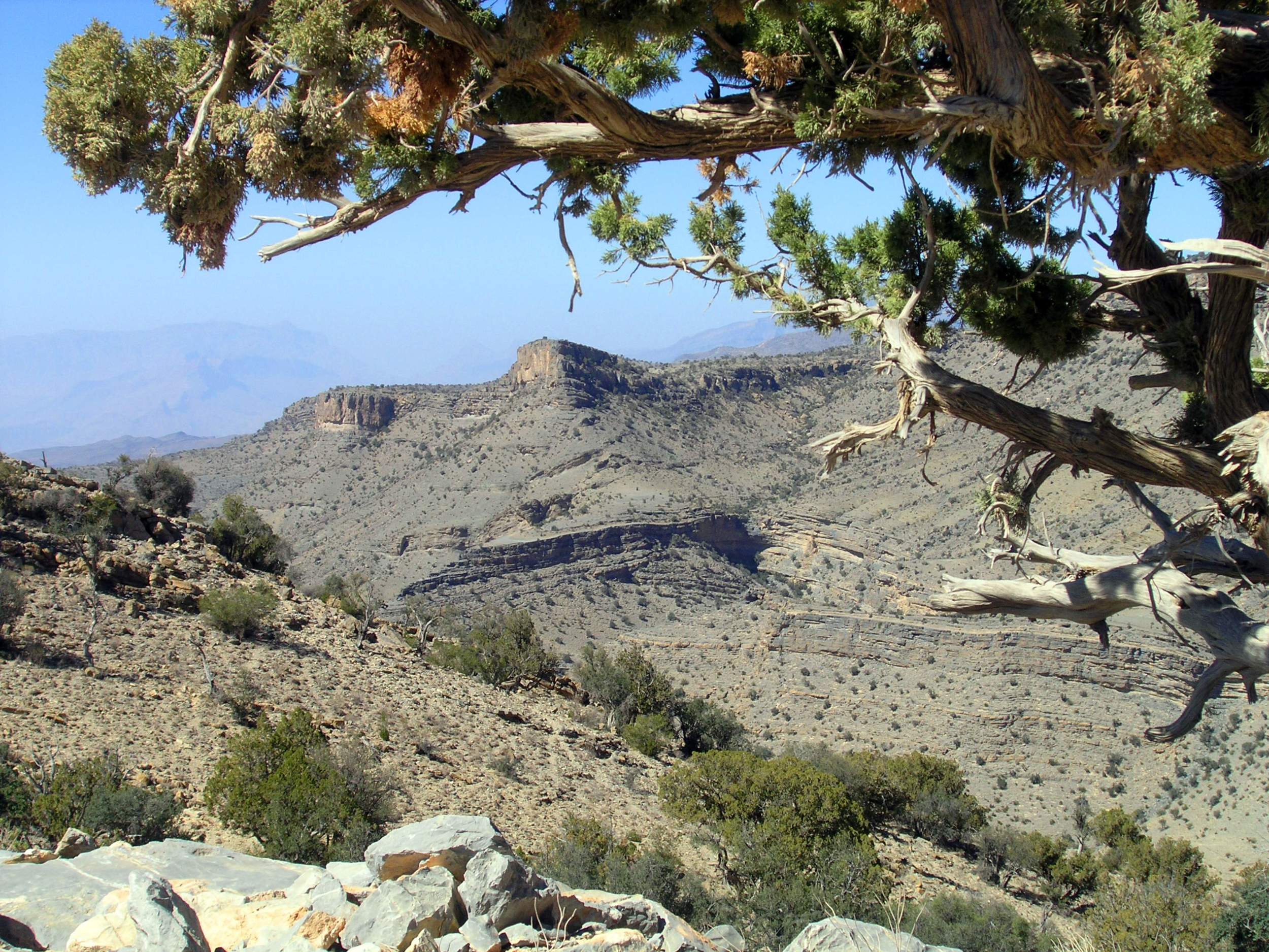 Jebel akhdar.jpg