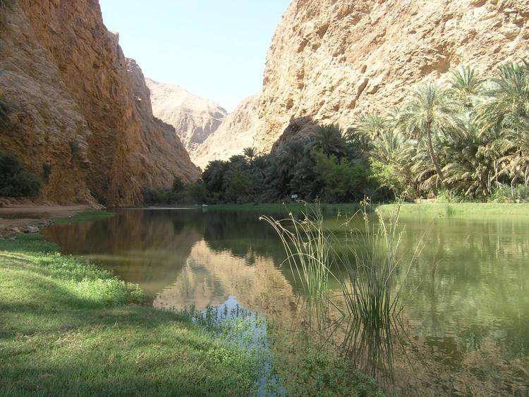 wadi+shab.jpg