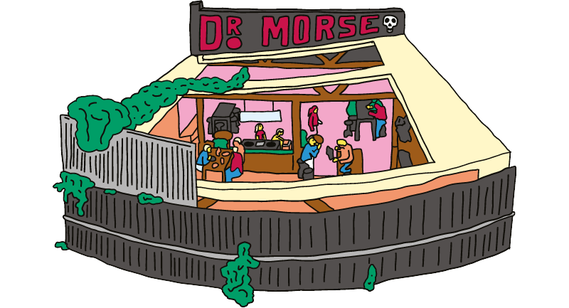 Dr Morse