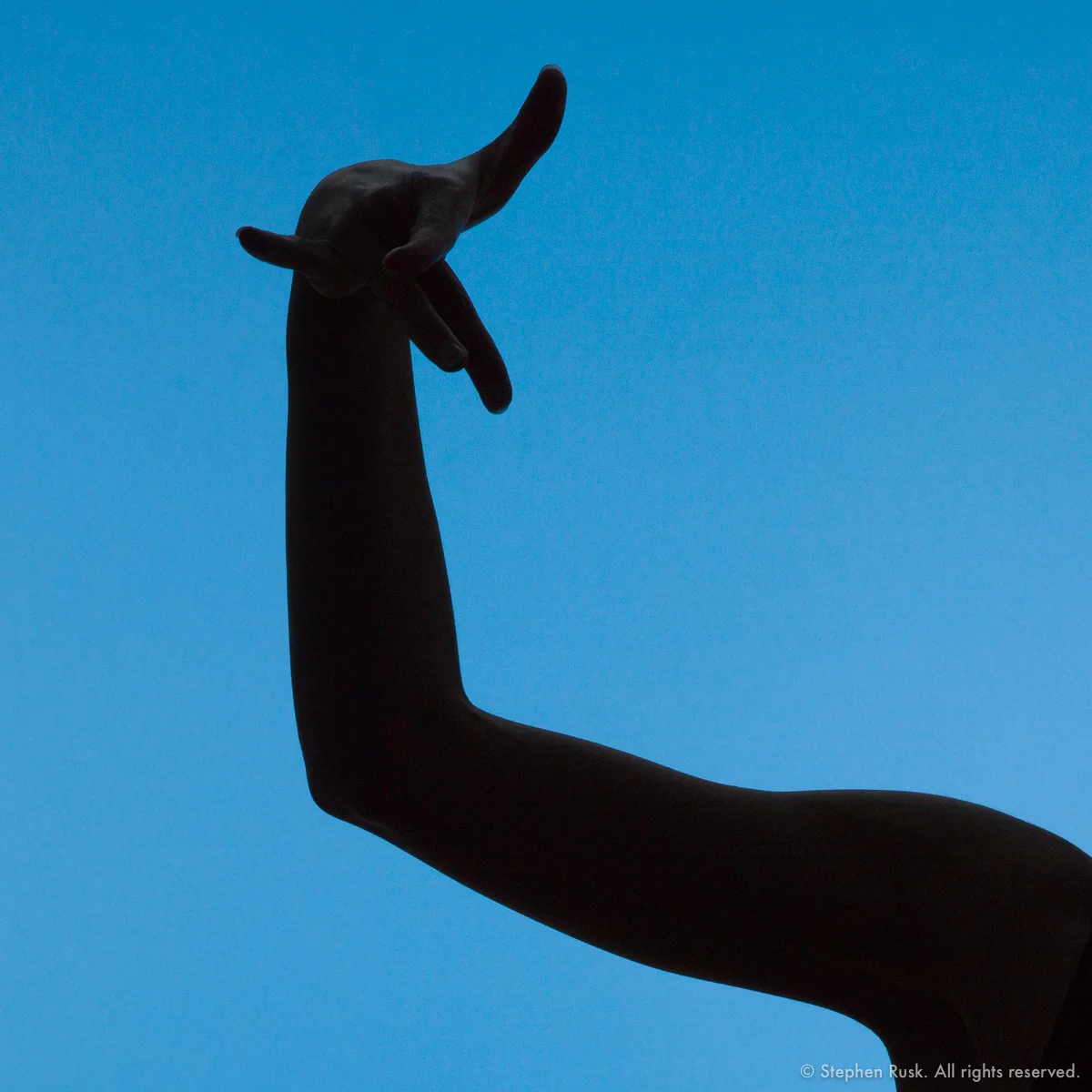 Contemporary Dancer