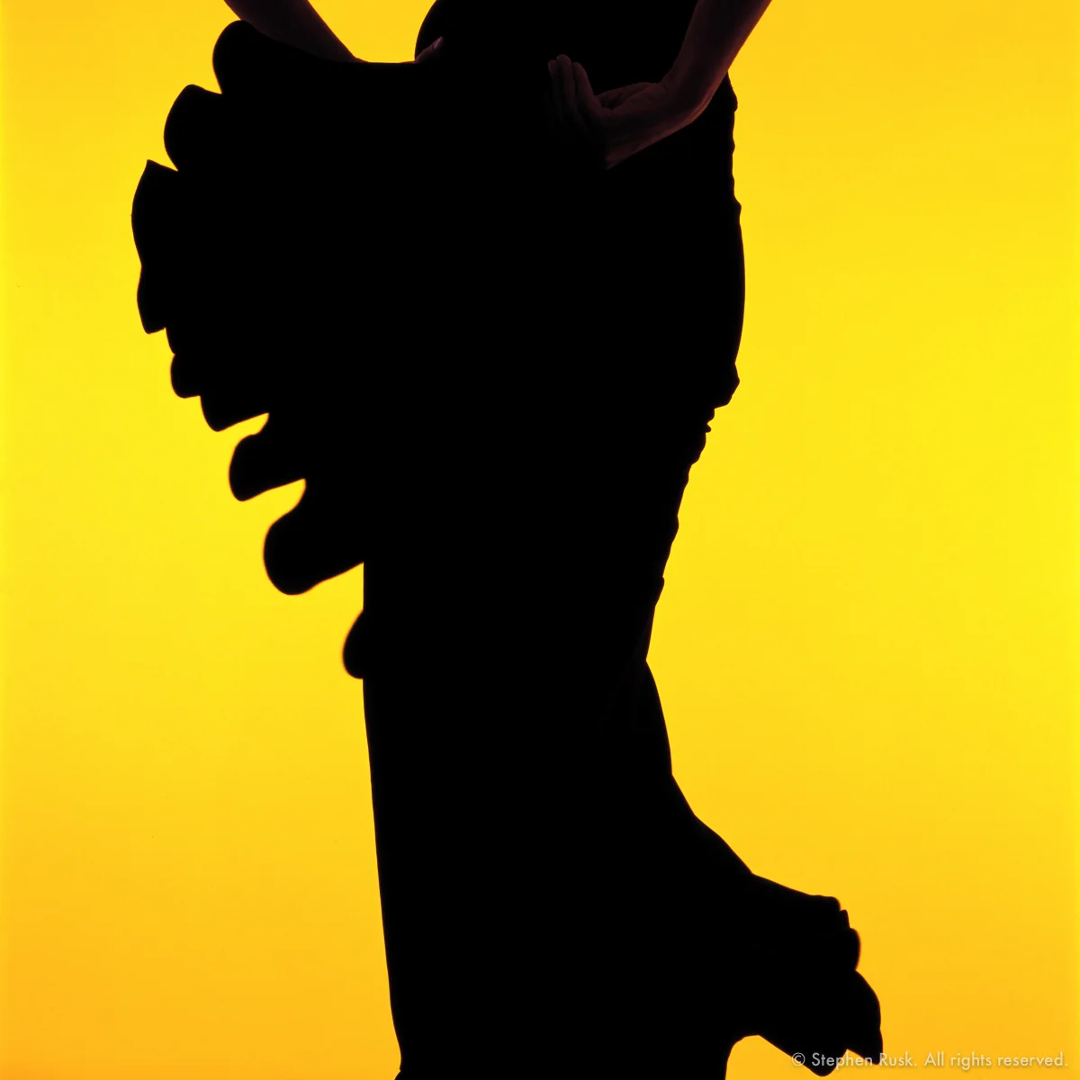 Flamenco Dancer