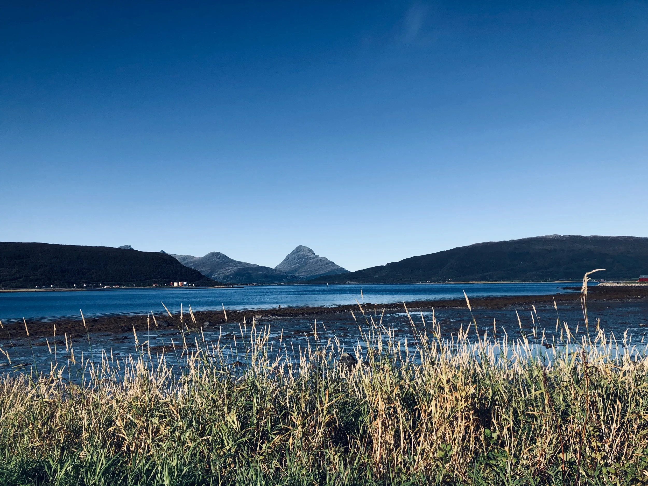 Nesna