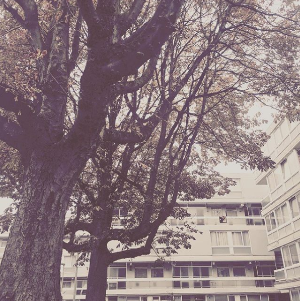 Good, great, fantastic