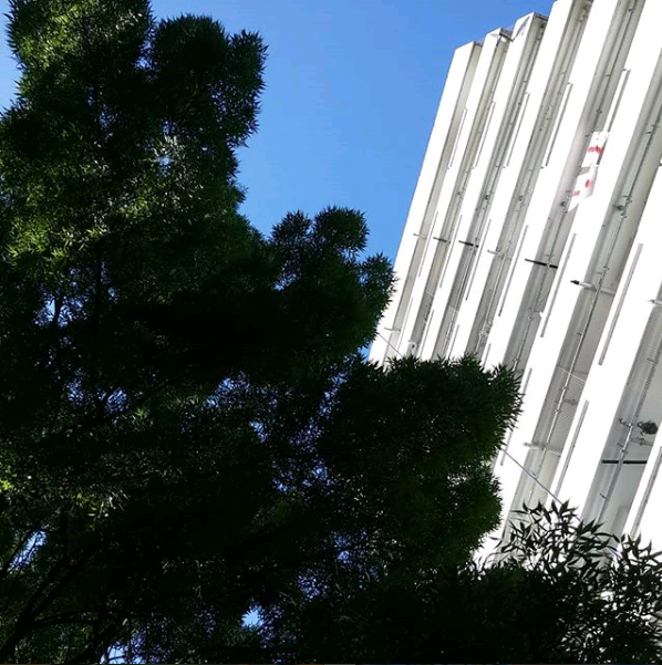 'I think we should learn Spanish!'