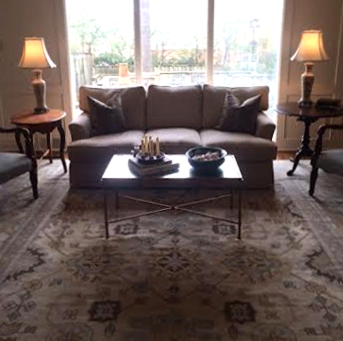 dudley den overview.png