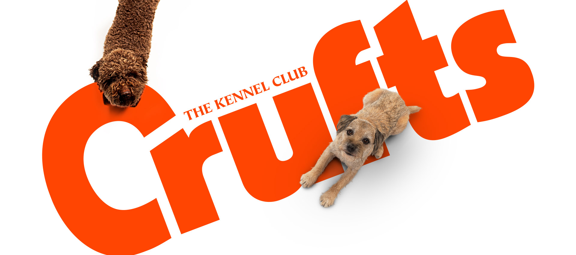 Crufts2019_Header.jpg