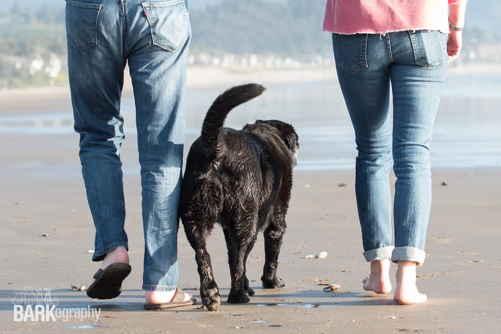 Telling Stories - Pet Photography 52 Week Project: Week 42