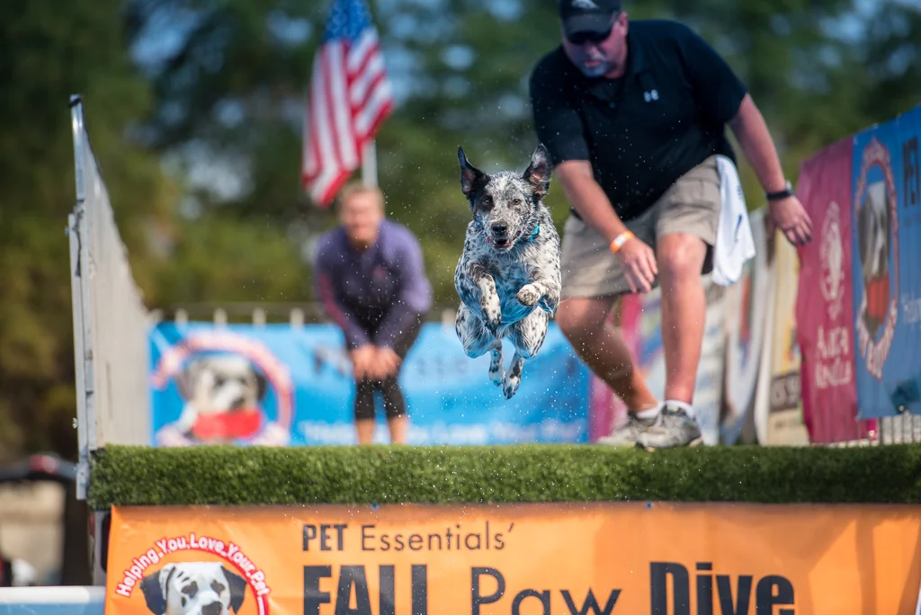 Spooky: Pet Photography Project 52: Week 43