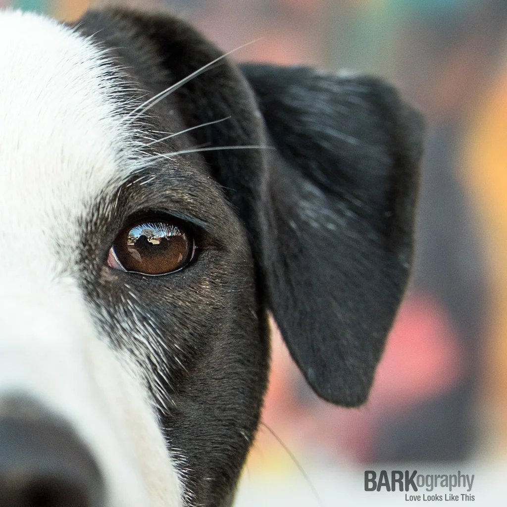 Midday Photo Session