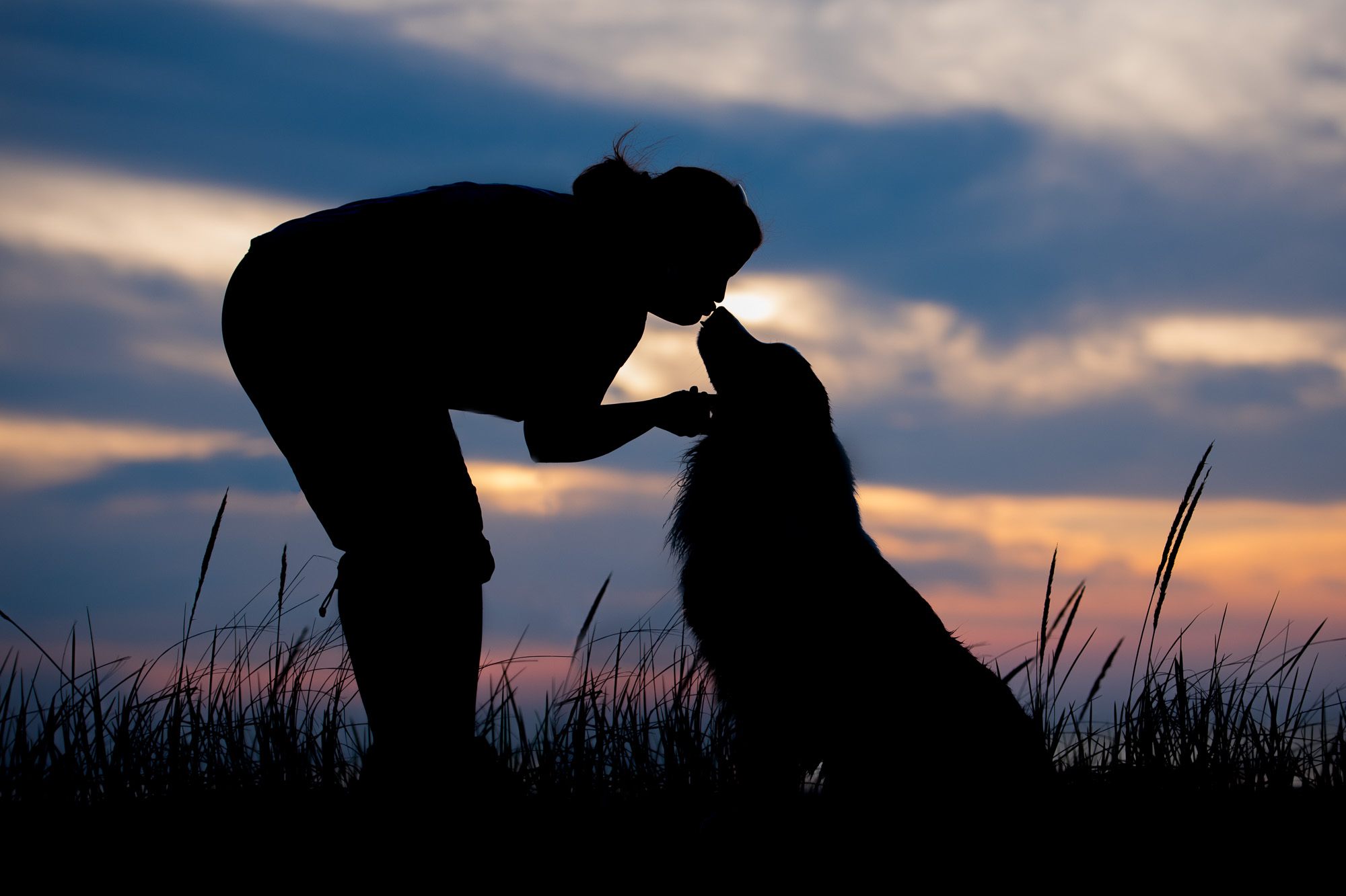Dog Photography Project 52 participant Sandy McCarthy and her dog Bogey at sunset in Cape Cod. Perhaps my most favorite image I've ever taken. I got into photography because of my love for my black lab Buddy. My tagline is "Love Looks Like This." To me that is what this photo is: LOVE. Sandy's love for her dog and Bogey's love for her. 