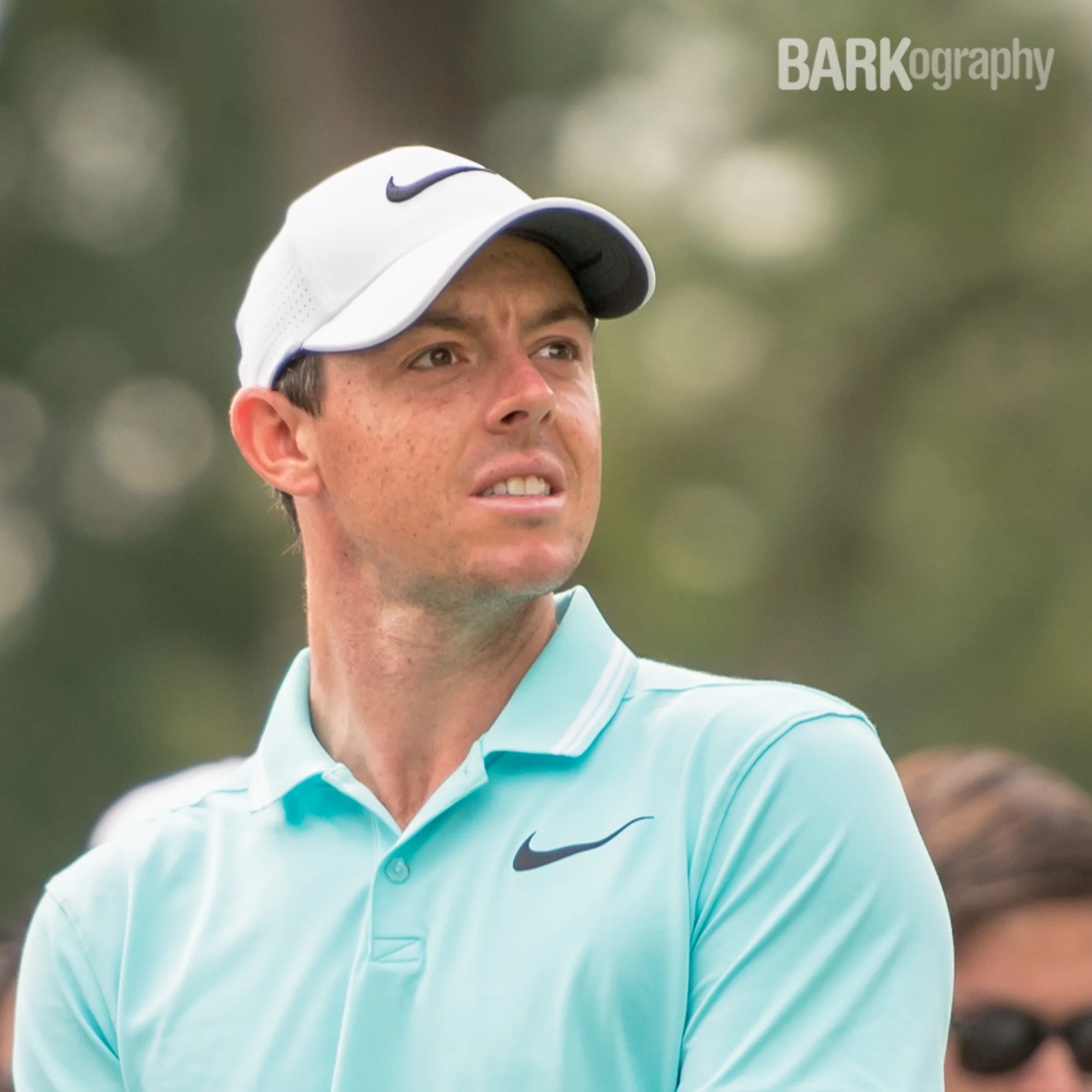 Dog Photography 52 Week Project: Week 32: Happy