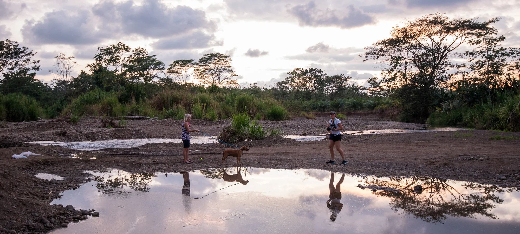 Night: Pet Photography 52 Week Project - Week 37