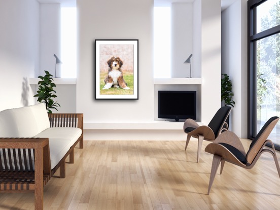 framed print with mat of puppy.JPG