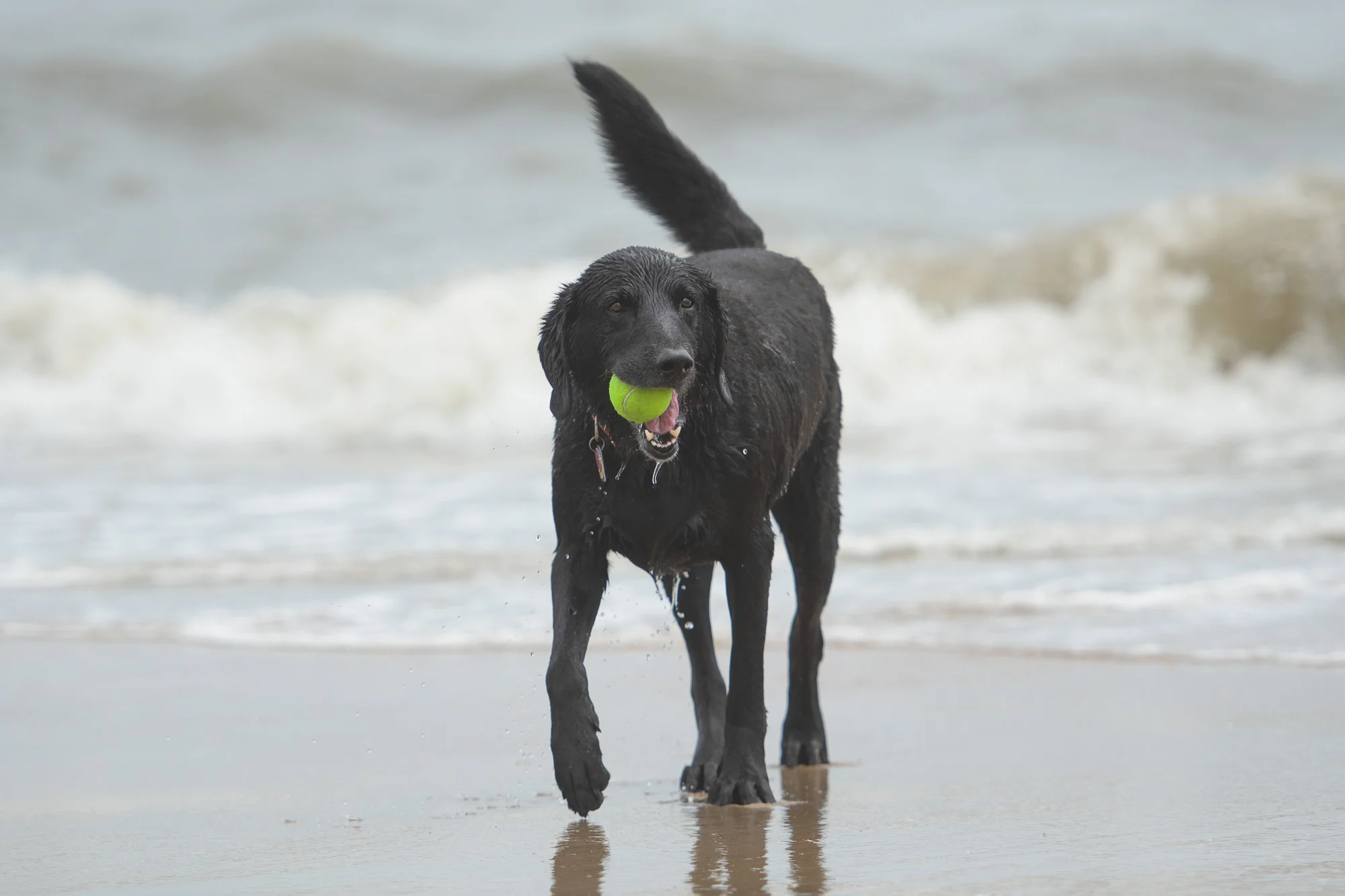 Negative Space in Photography