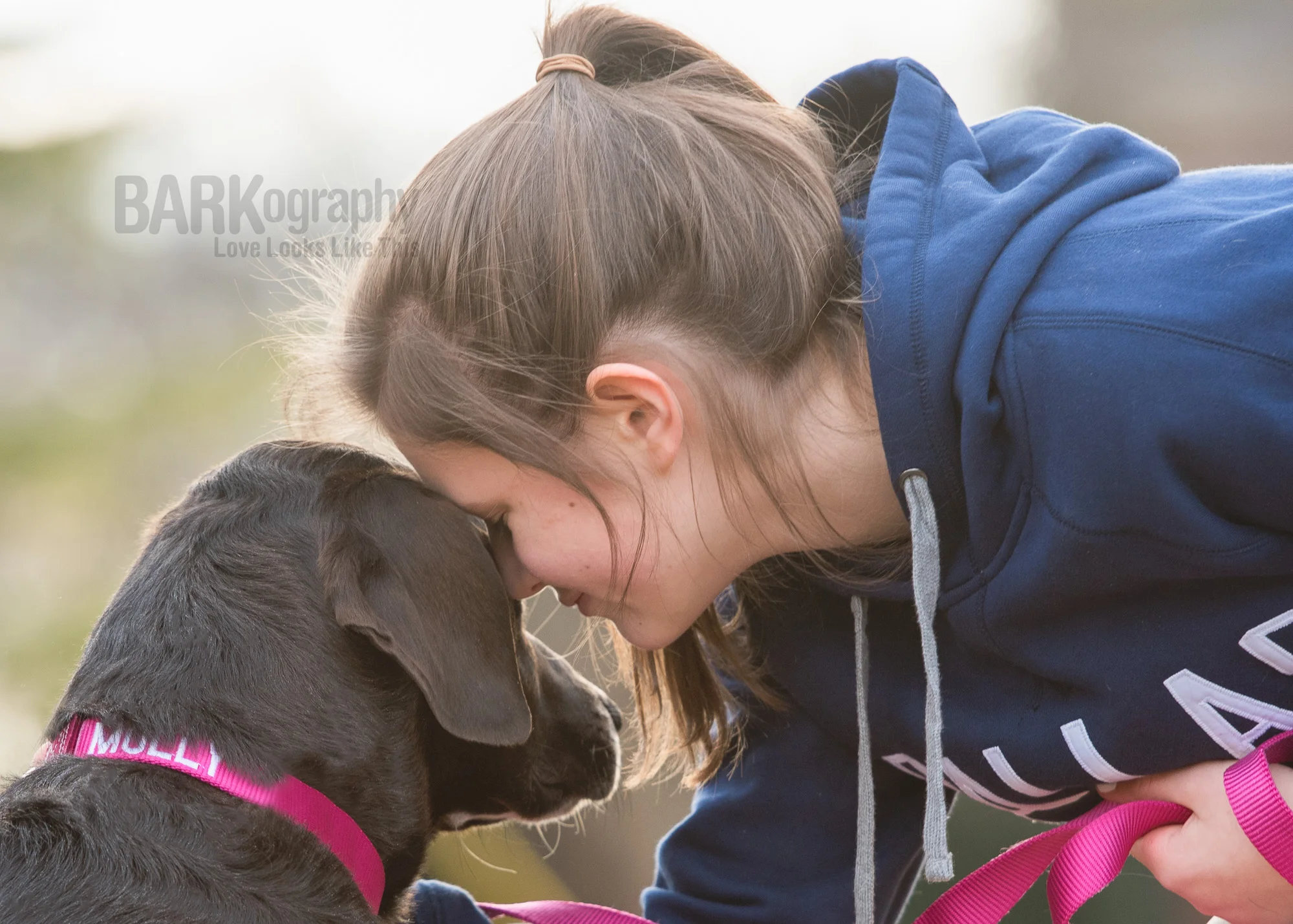 Pets and Hurricane Preparedness