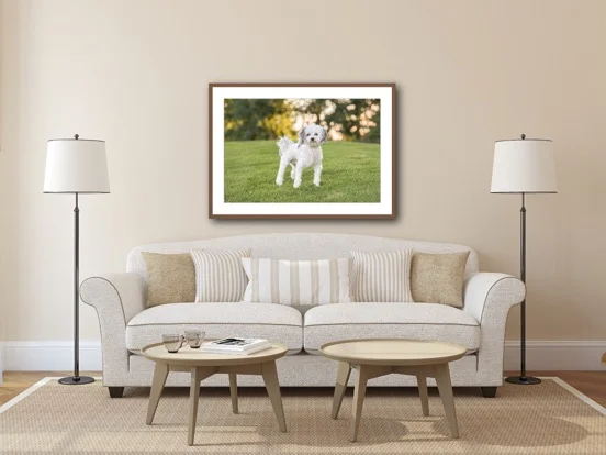 framed with mat living room 2.JPG
