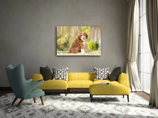unframed living room 2.JPG