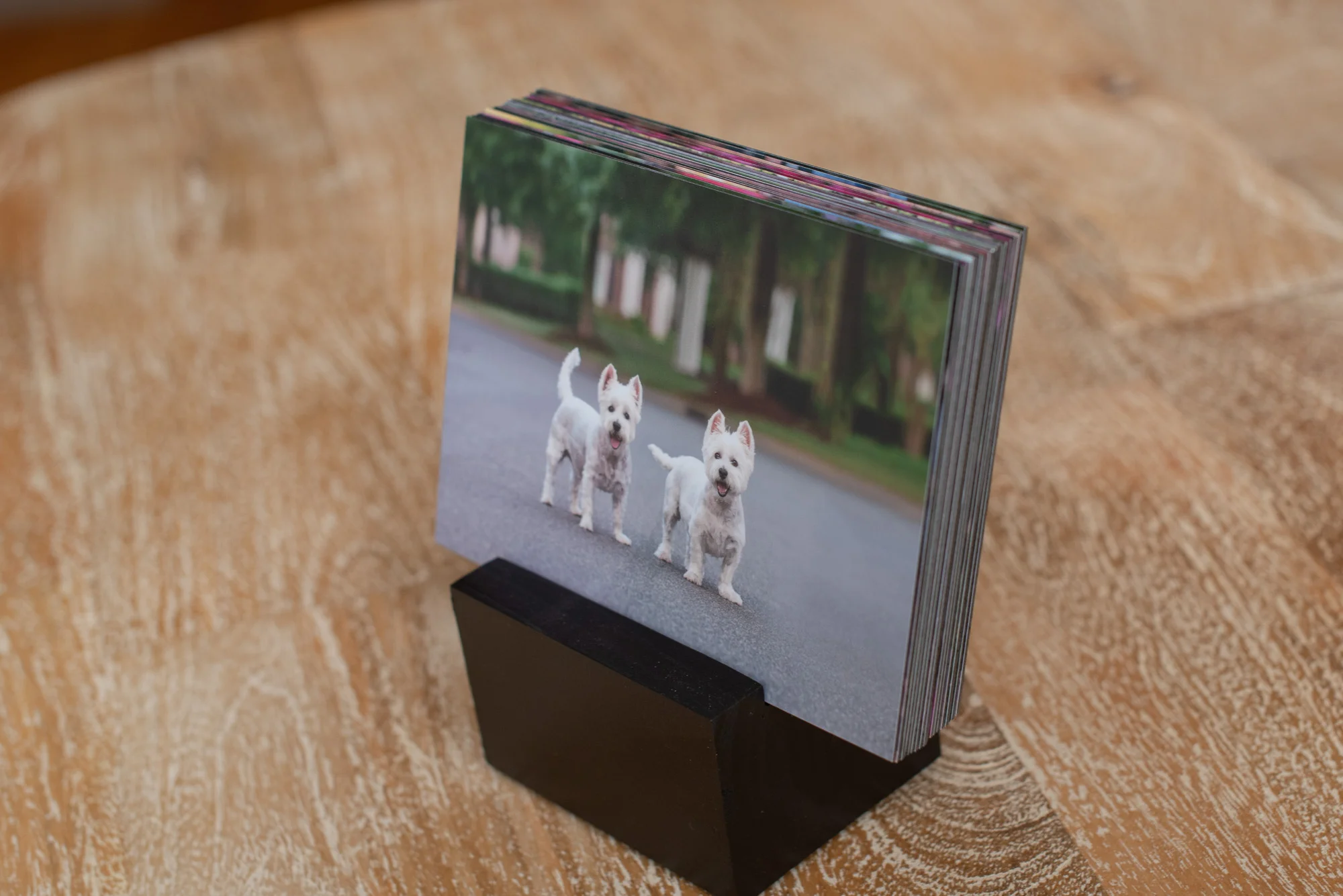 mounted prints image stack.JPG