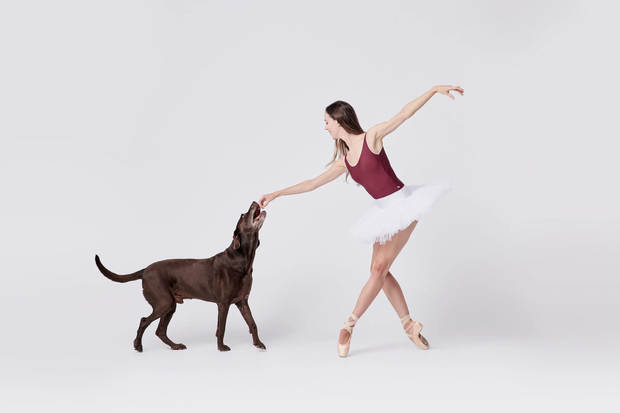 Favorite Instagram Accounts