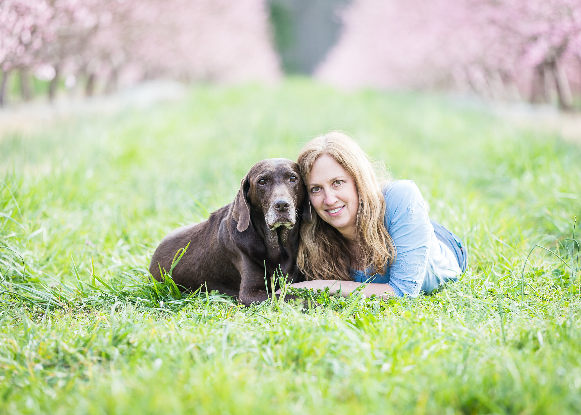 old chocolate lab and his dog mom