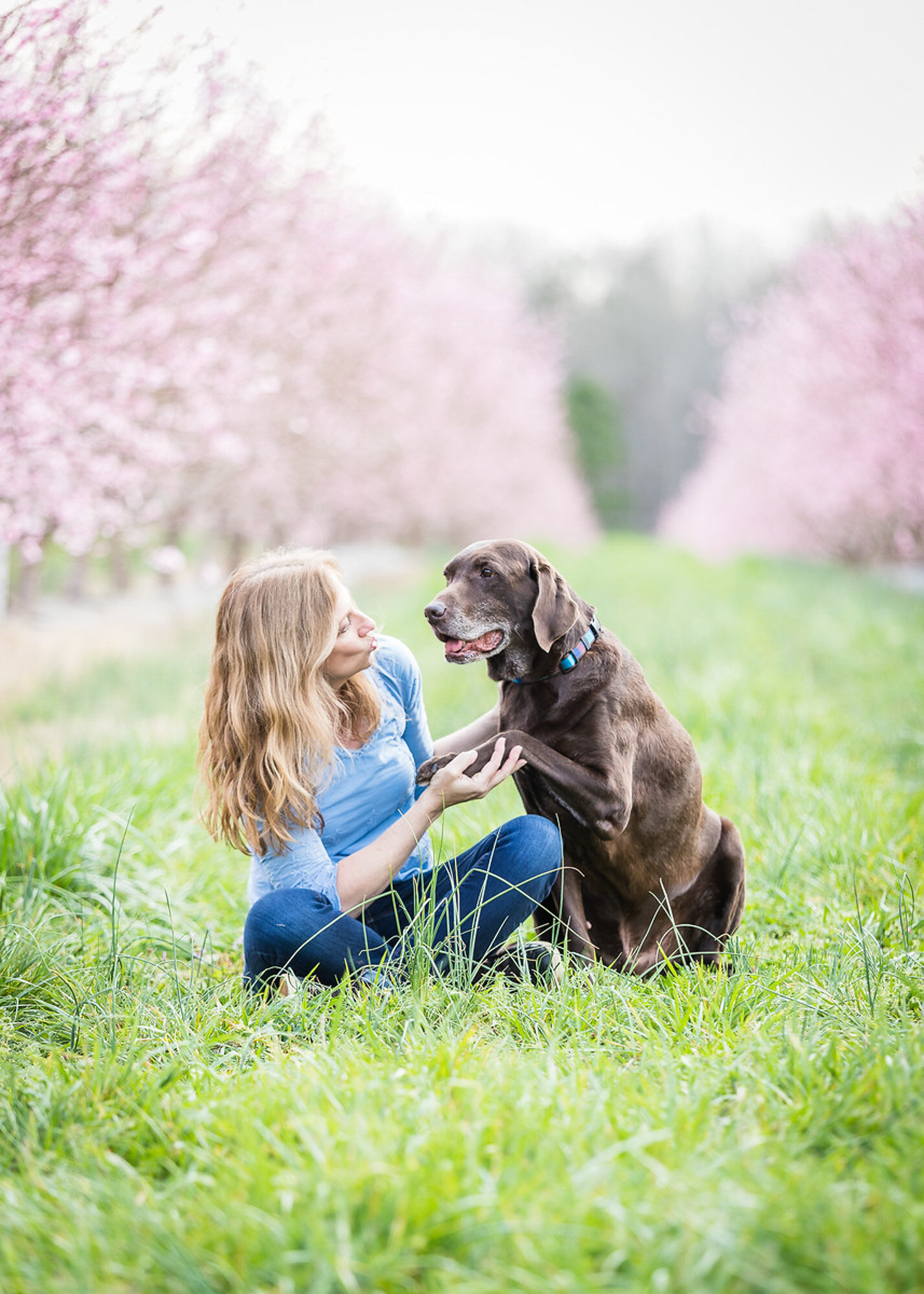 family portrait includes dog