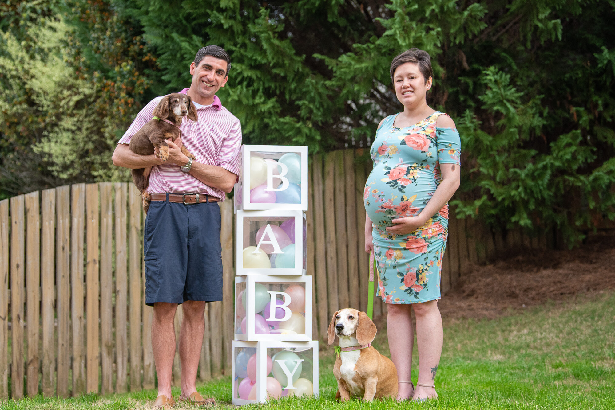 Maternity Photos with Dogs