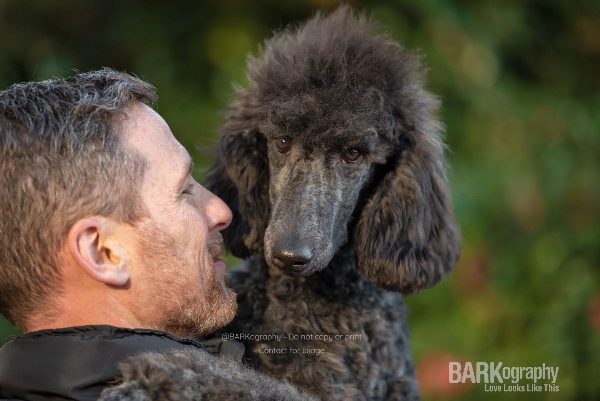 International Day of Veterinary Medicine