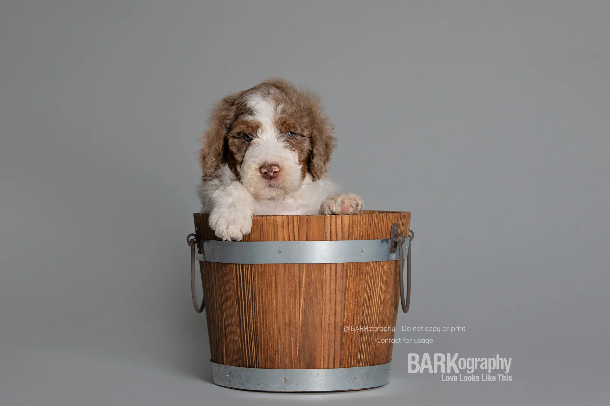 Center Weighted Photos