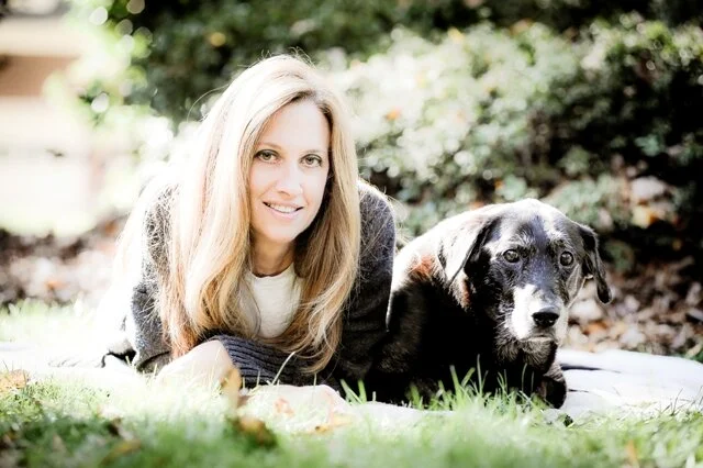 How This Dog Walker Became a Dog Photographer