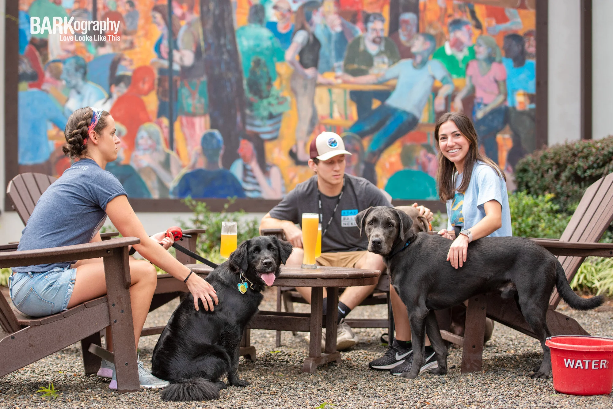 Dog Friendly Bars in Charlotte Where You Can Celebrate St Patrick's Day 2021