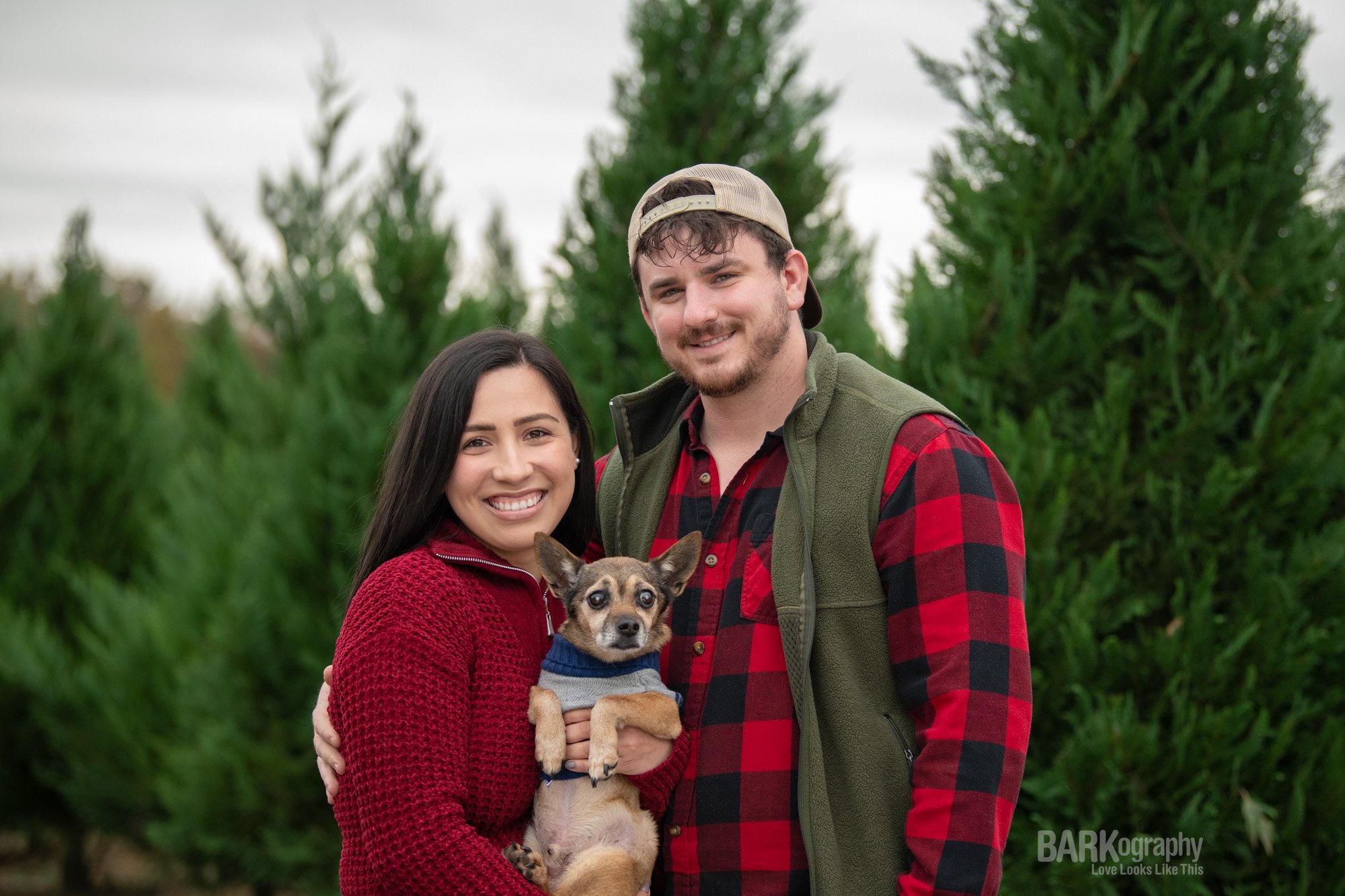 young couple with senior dog in Christmas tree farm