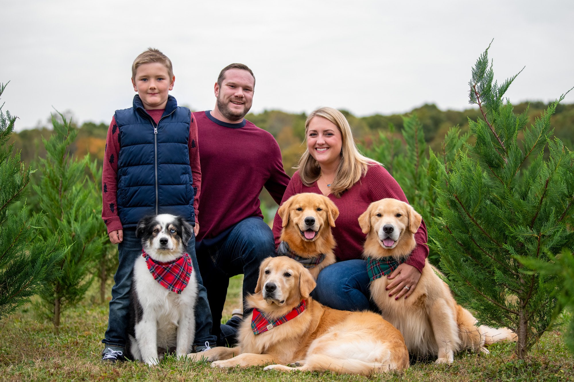 family portrait with dogs in Christmas trees