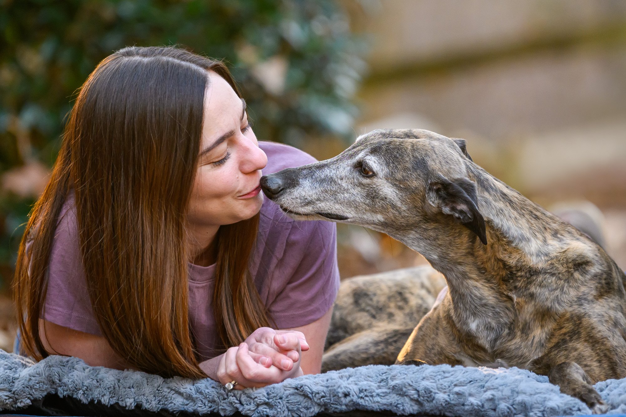 dog mom kissing senior greyhound