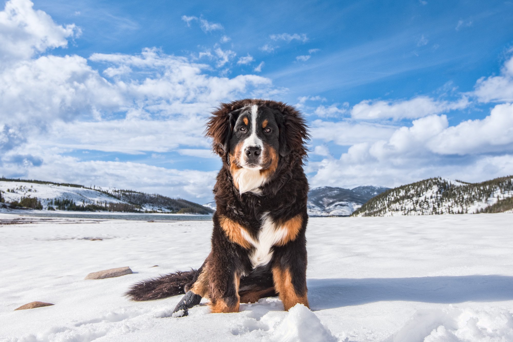 Snow Destination Recommendations