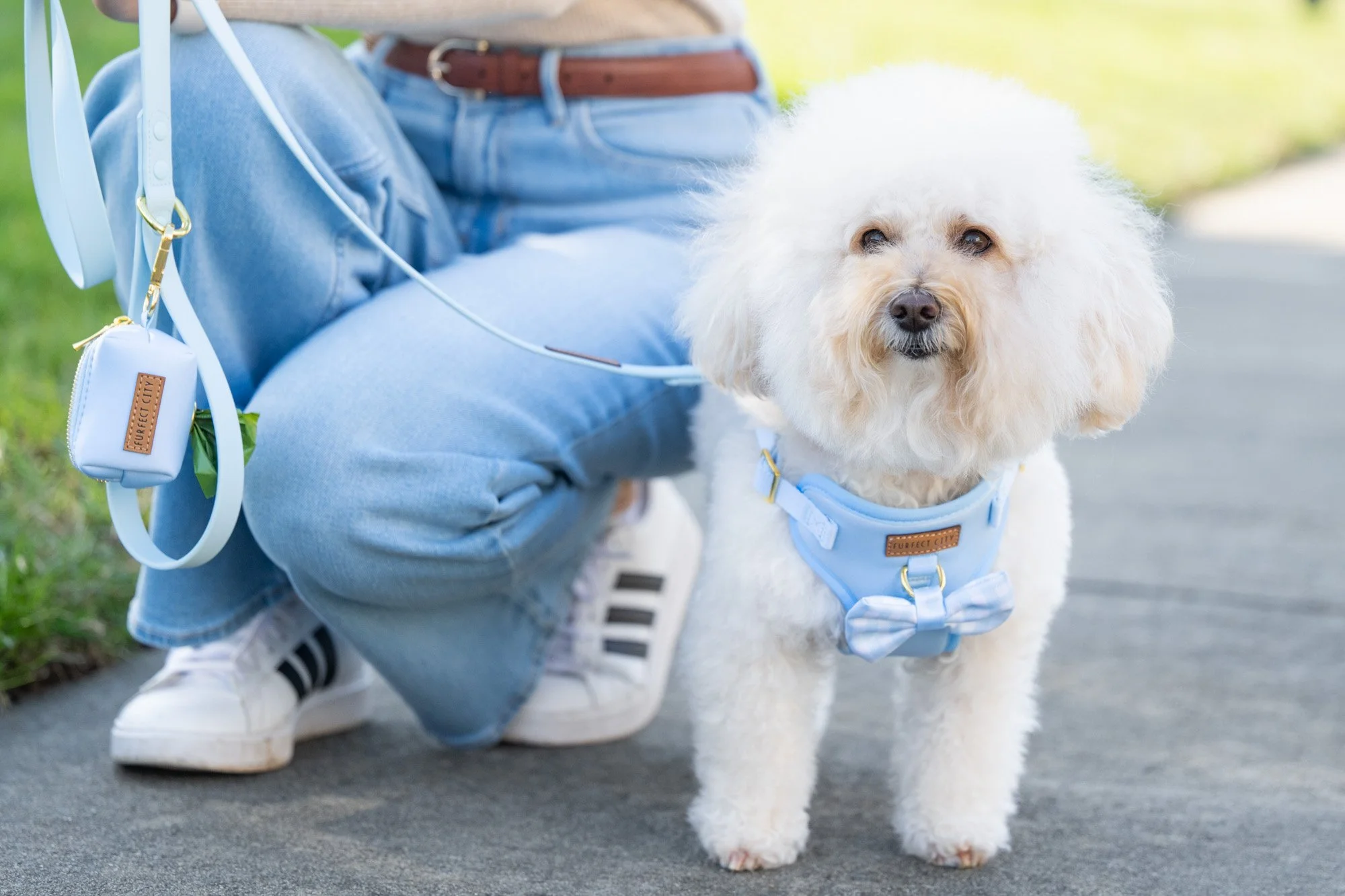 Commercial Pet Product Photography