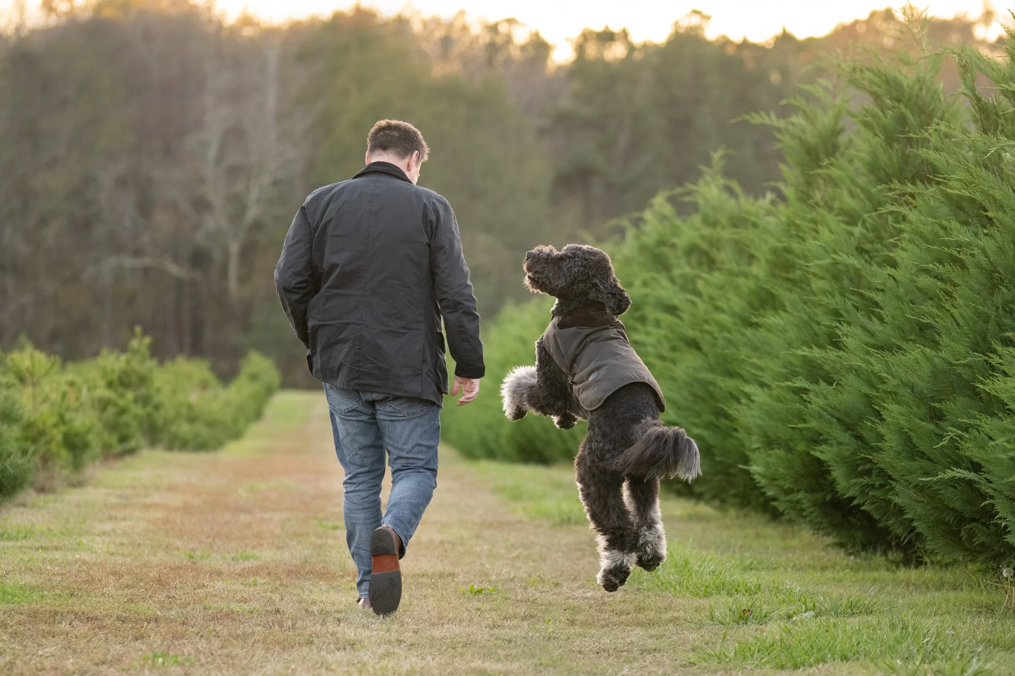 happy dog and dog dad walking through forsst