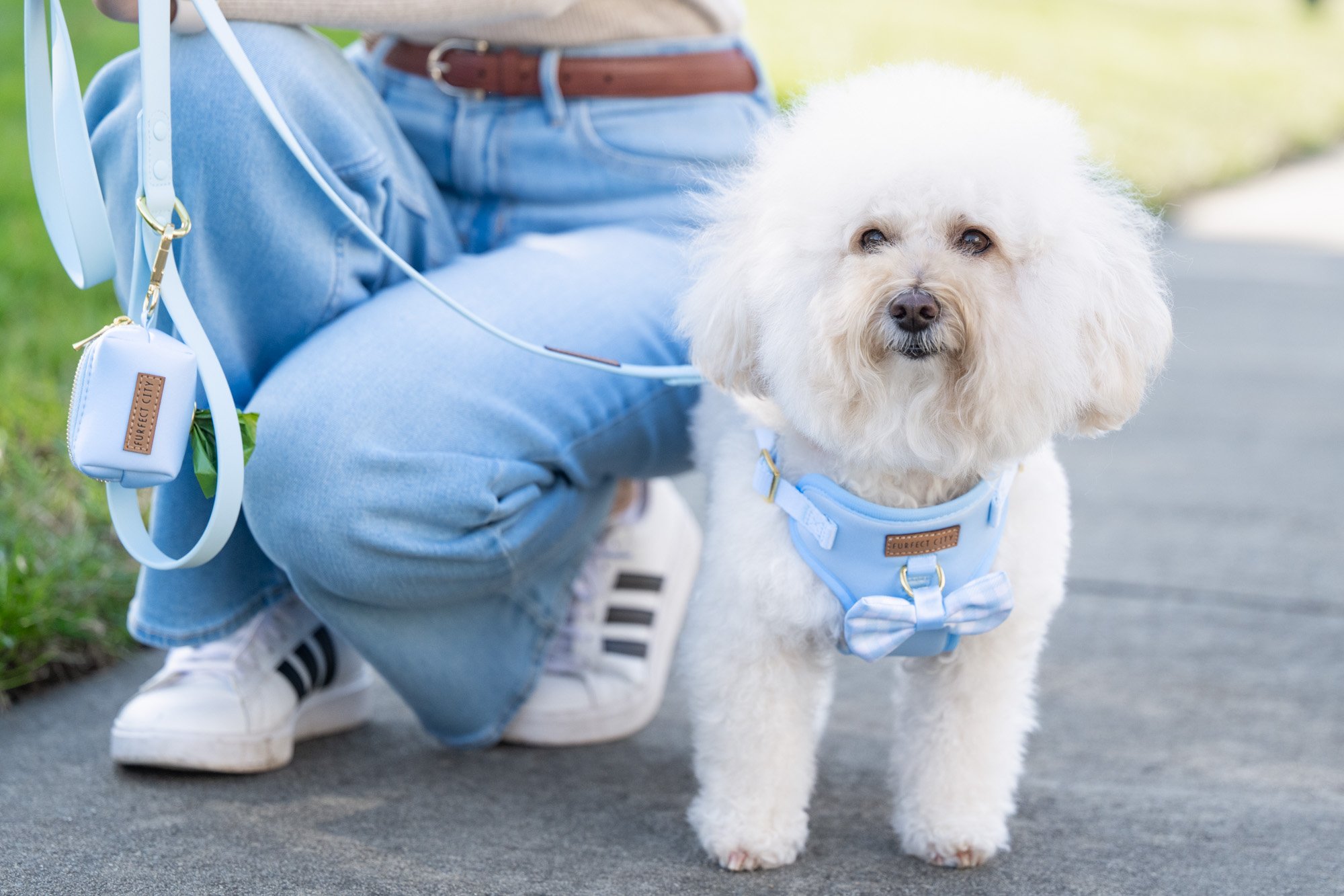 commercial pet photography Charlotte NC.jpg