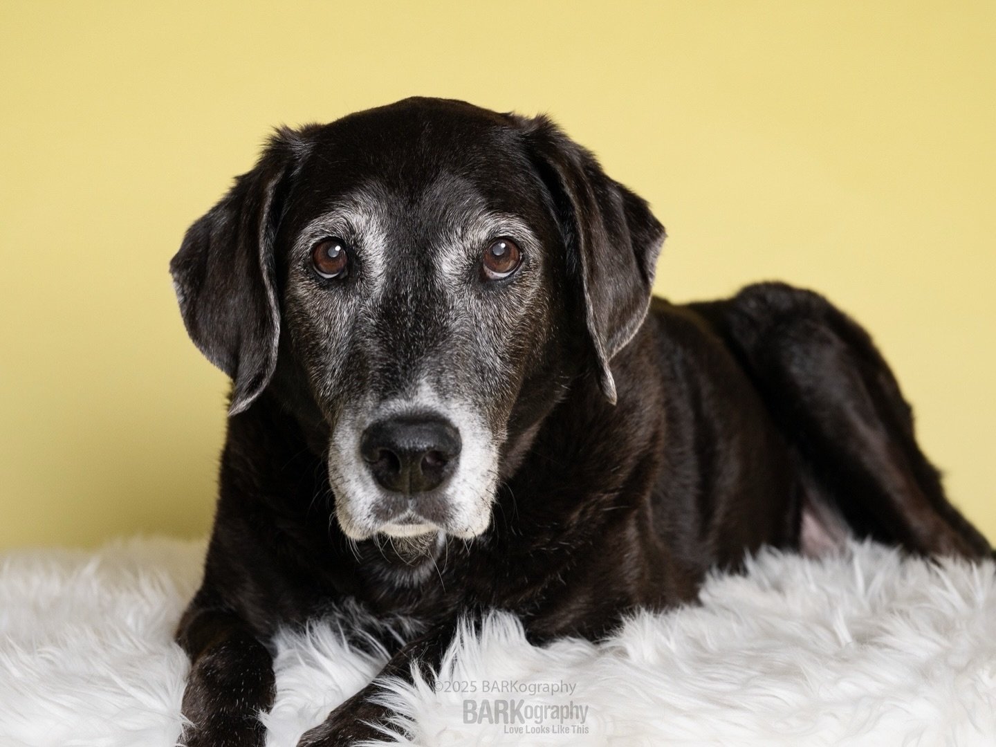 #snOMG
⠀⠀⠀⠀⠀⠀⠀⠀⠀
Charlotte NC is forecast to get its biggest winter storm in several years this weekend.
⠀⠀⠀⠀⠀⠀⠀⠀⠀
There is a lot of uncertainty if we&rsquo;ll get snow, sleet, or ice and most likely we&rsquo;ll get a combination of all of them.
⠀⠀⠀⠀