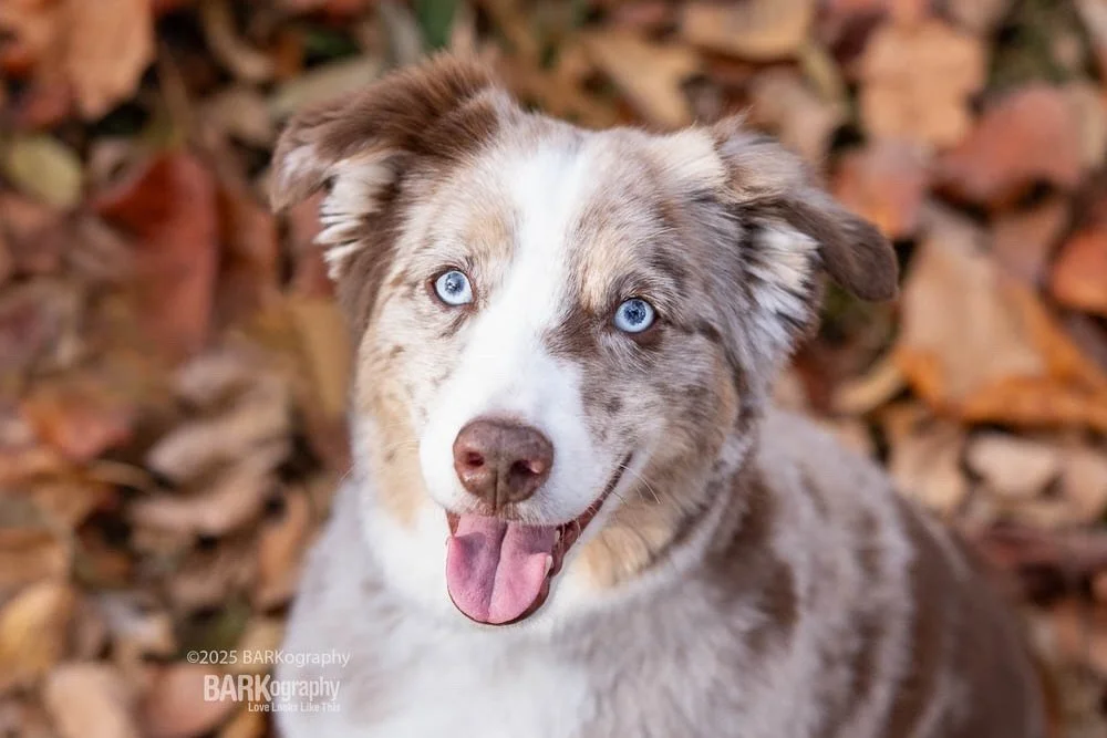 Me trying to remain positive that our power won&rsquo;t go out with the incoming ice storm.
⠀⠀⠀⠀⠀⠀⠀⠀⠀
I&rsquo;d really like to try to get Harry Styles tickets Monday.
⠀⠀⠀⠀⠀⠀⠀⠀⠀
True story: On Wed Jan 14, Bruno Mars tickets went on sale at 12pm. At 12