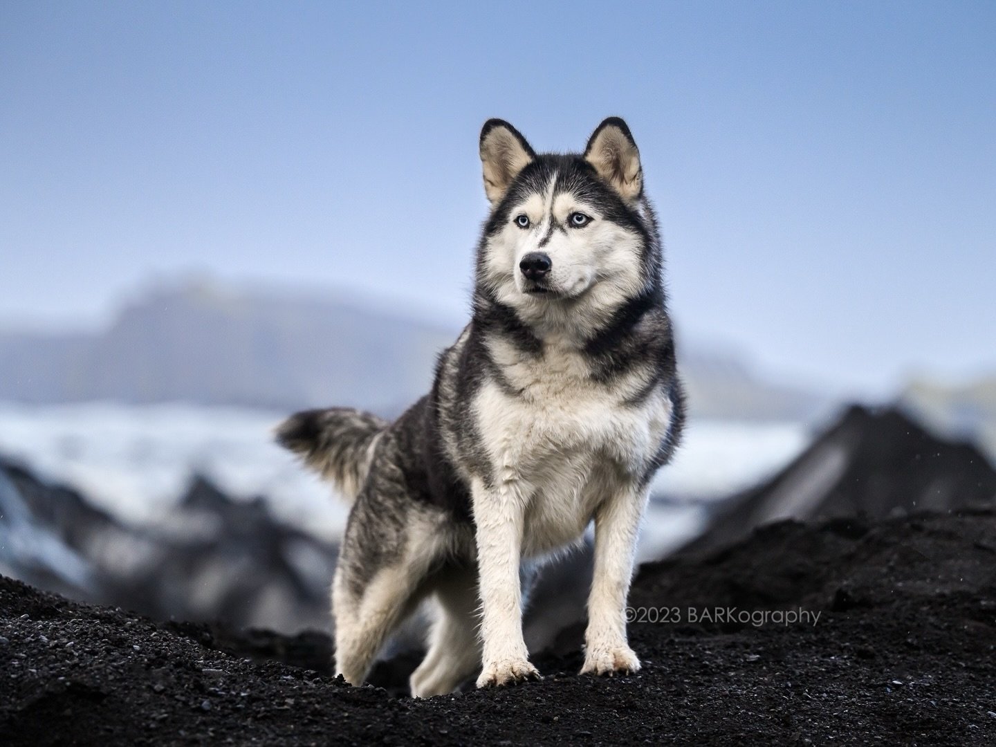 For those who have what I&rsquo;ll call cold weather breeds that live in the US, do they adapt easily / handle the cold weather when the temps dip into the teens and it&rsquo;s not normally this cold?
⠀⠀⠀⠀⠀⠀⠀⠀⠀
It is 15&deg;F / -10&deg;C this morning