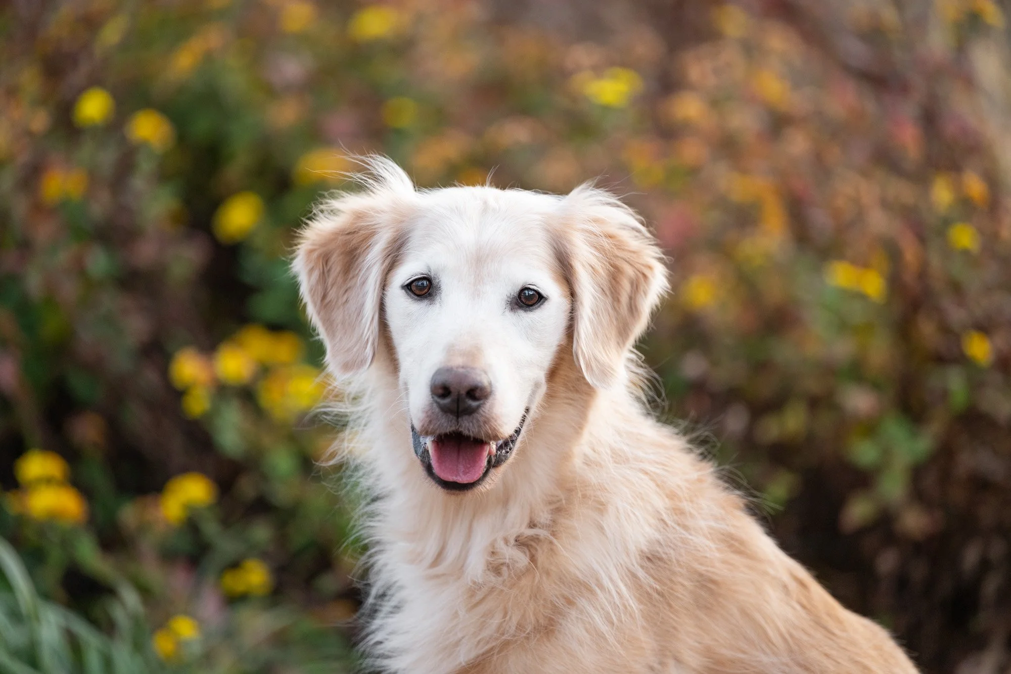 3 Recommendations for Winter Photo Sessions in Charlotte NC