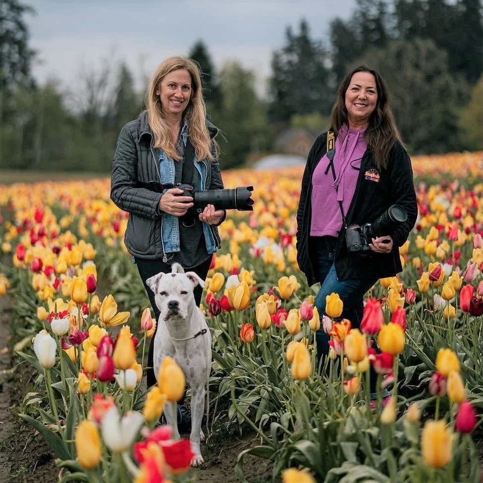 Happy Galentine&rsquo;s Day to Audrey @sunsets_unleashed one of my favorite people in the world.

Audrey and I met at Barkelona, a pet photography workshop in Spain in 2016.

We bonded over our love of dogs, photography, and traveling.

I may not hav