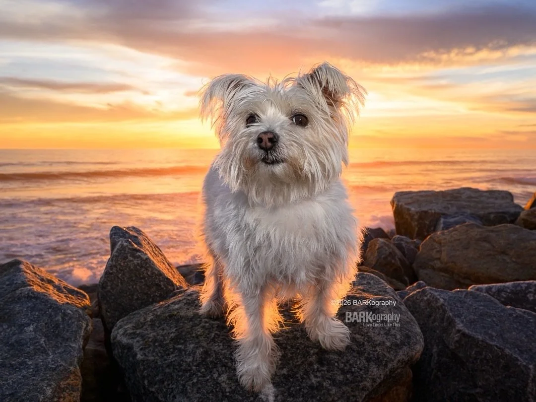 I love the west coast and I recently spent 4 days in Oceanside CA with @sunsets_unleashed. 🌅
⠀⠀⠀⠀⠀⠀⠀⠀⠀
I met so many of her friends that I&rsquo;ve heard about for years. It was awesome. ❤️
⠀⠀⠀⠀⠀⠀⠀⠀⠀
We had a lot of fun and my first night there I st