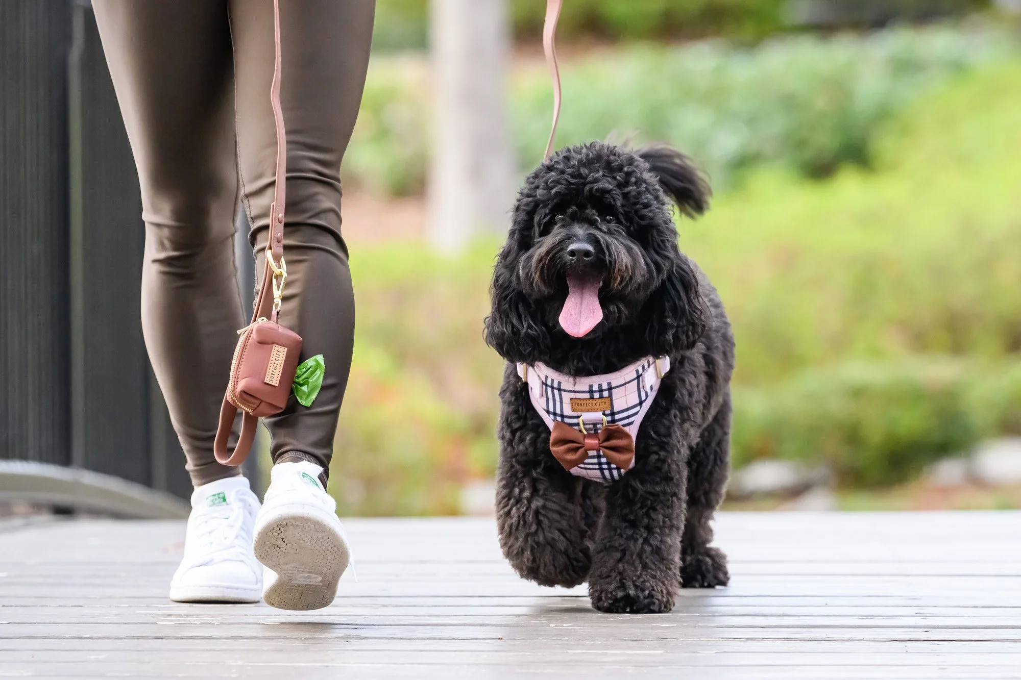 Charlotte NC based Commercial Pet Photographer