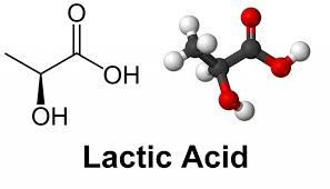 Lactic Acid Explained