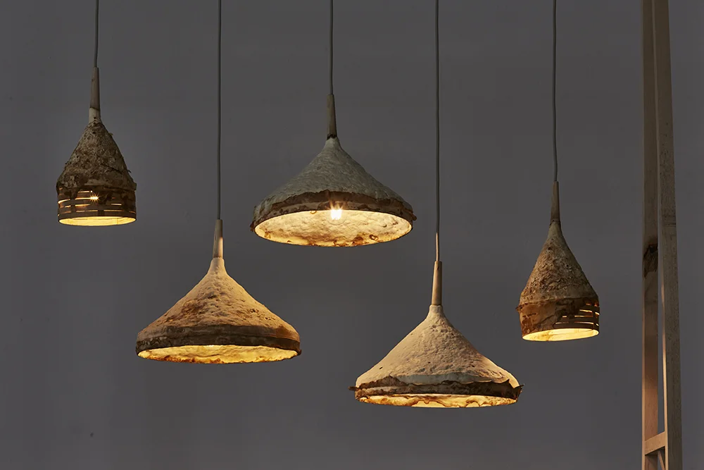 Sebastian Cox_Ninela Ivanova_Mycelium+Timber_Petr Krejci Photography_04.jpg