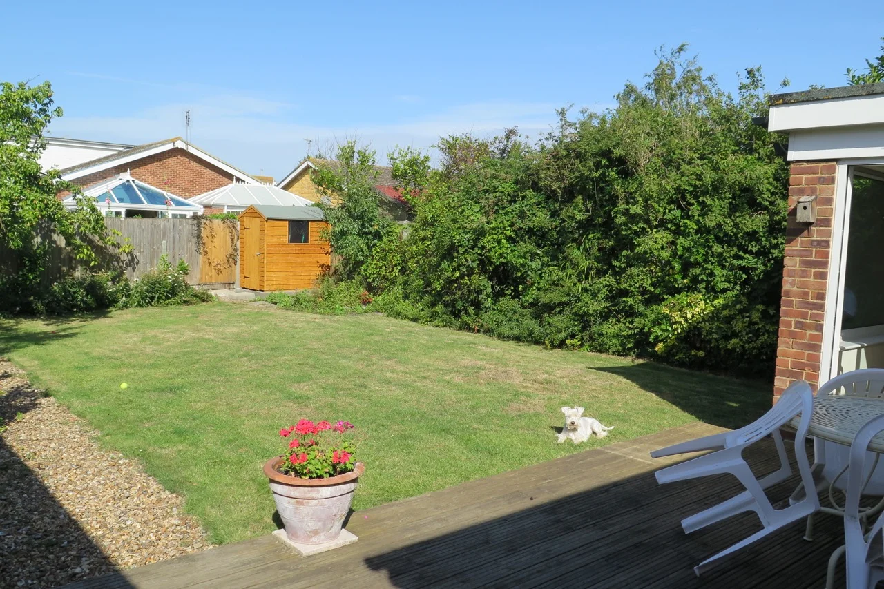 Hodgsons dog in garden.jpg